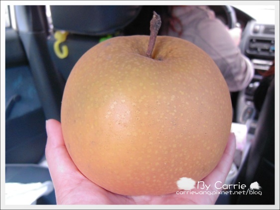 花蓮旅遊｜台中-花蓮｜遇見中橫公路之美．全台最美麗的公路 @飛天璇的口袋