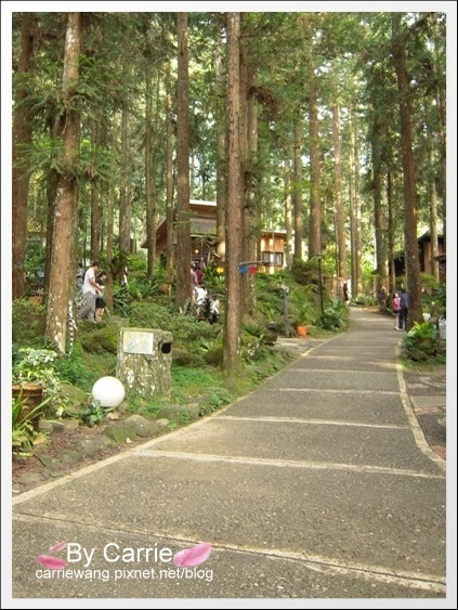 溪頭妖怪村：仿佛置身於電影神隱少女般的感覺，濃濃的日式氛圍好逛好拍好多人 @飛天璇的口袋