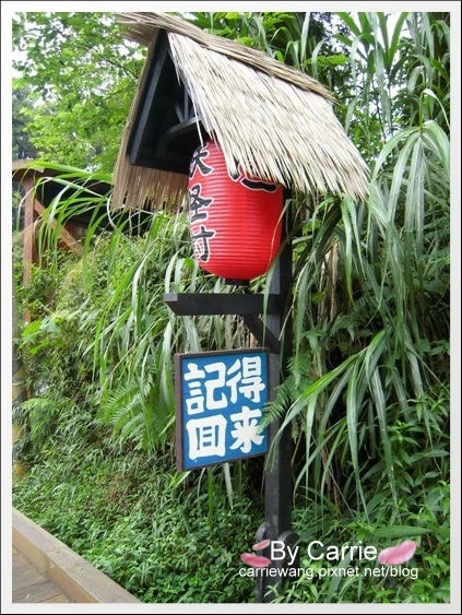 溪頭妖怪村：仿佛置身於電影神隱少女般的感覺，濃濃的日式氛圍好逛好拍好多人 @飛天璇的口袋