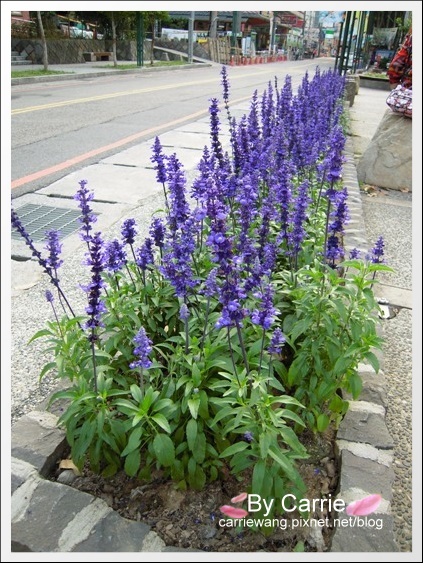 【台中谷關泡湯】統一渡假村．個人湯屋+下午茶 @飛天璇的口袋