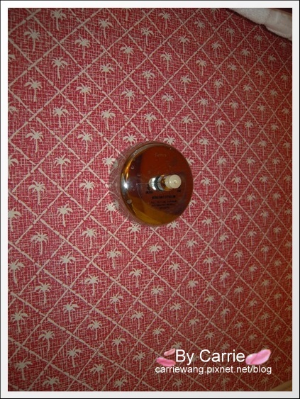 花蓮壽豐｜遠雄悅來大飯店．花蓮海洋公園旁邊，充滿歐洲維多利亞風情 @飛天璇的口袋