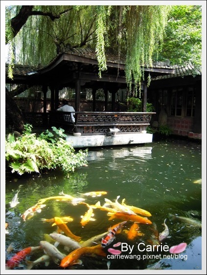 耕心園書香茶館：在古色古香的聚會環境品嚐中式茶點 @飛天璇的口袋