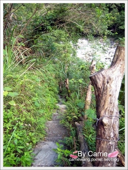 花蓮秀林｜慕谷慕魚生態廊道｜花蓮最值得推薦的世外桃源慕谷慕魚 @飛天璇的口袋