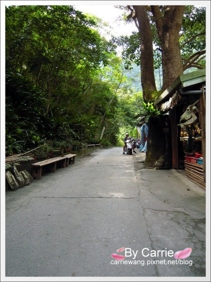 花蓮秀林｜慕谷慕魚生態廊道｜花蓮最值得推薦的世外桃源慕谷慕魚 @飛天璇的口袋
