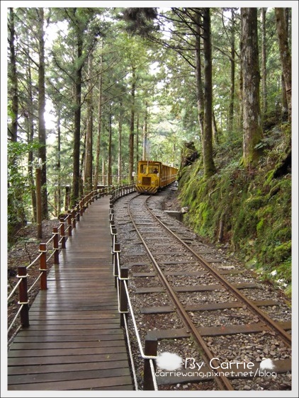 【宜蘭旅遊景點】太平山森林遊樂區+太平山蹦蹦車 @飛天璇的口袋