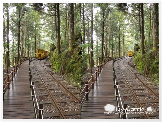 【宜蘭旅遊景點】太平山森林遊樂區+太平山蹦蹦車 @飛天璇的口袋