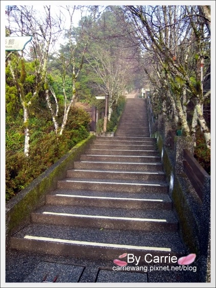 太平山莊：宜蘭太平山唯二住宿地區+(一泊二食早餐x晚餐) @飛天璇的口袋