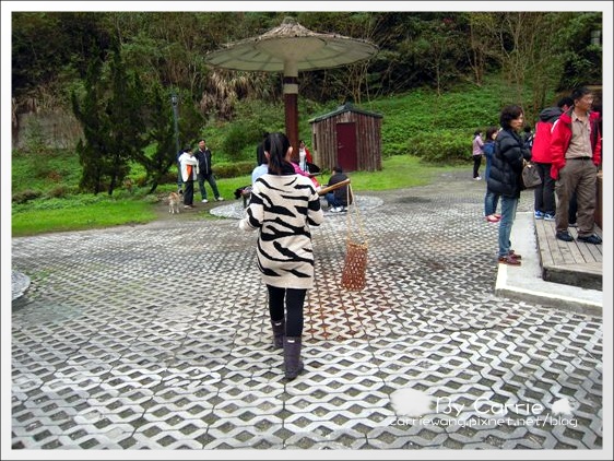 【宜蘭旅遊景點】太平山．翠峰湖+鳩之澤溫泉。此生必去的美景之一 @飛天璇的口袋