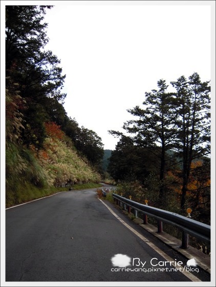 【宜蘭旅遊景點】太平山．翠峰湖+鳩之澤溫泉。此生必去的美景之一 @飛天璇的口袋