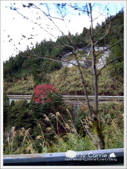 【宜蘭旅遊景點】太平山．翠峰湖+鳩之澤溫泉。此生必去的美景之一 @飛天璇的口袋