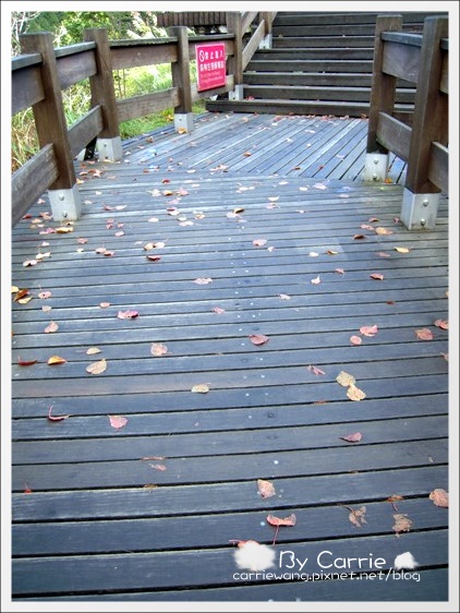 【宜蘭旅遊景點】太平山．翠峰湖+鳩之澤溫泉。此生必去的美景之一 @飛天璇的口袋