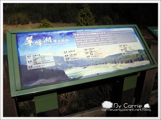 【宜蘭旅遊景點】太平山．翠峰湖+鳩之澤溫泉。此生必去的美景之一 @飛天璇的口袋