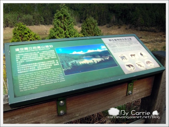 【宜蘭旅遊景點】太平山．翠峰湖+鳩之澤溫泉。此生必去的美景之一 @飛天璇的口袋