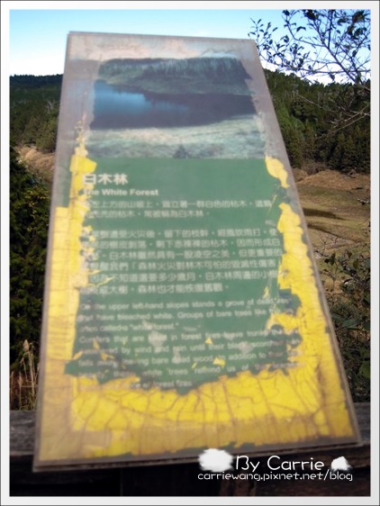 【宜蘭旅遊景點】太平山．翠峰湖+鳩之澤溫泉。此生必去的美景之一 @飛天璇的口袋