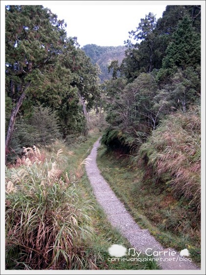 【宜蘭旅遊景點】太平山．翠峰湖+鳩之澤溫泉。此生必去的美景之一 @飛天璇的口袋