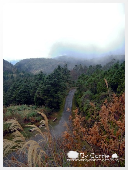 【宜蘭旅遊景點】太平山．翠峰湖+鳩之澤溫泉。此生必去的美景之一 @飛天璇的口袋