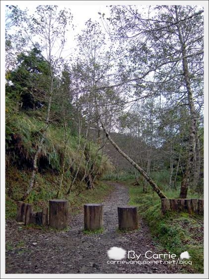 【宜蘭旅遊景點】太平山．翠峰湖+鳩之澤溫泉。此生必去的美景之一 @飛天璇的口袋