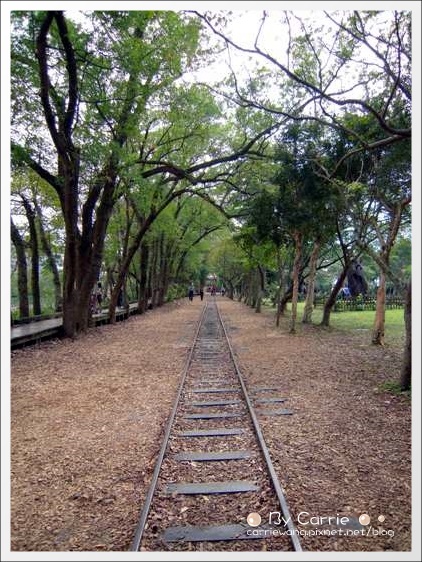 宜蘭羅東林業文化園區｜羅東林場，在市中心也可以做森林浴 @飛天璇的口袋