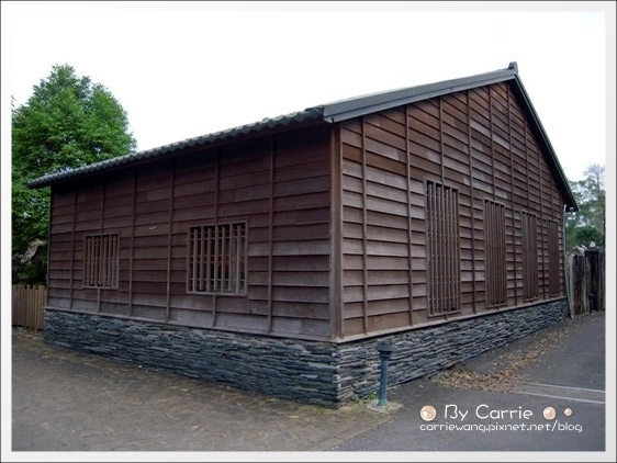 宜蘭羅東林業文化園區｜羅東林場，在市中心也可以做森林浴 @飛天璇的口袋