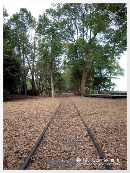 宜蘭羅東林業文化園區｜羅東林場，在市中心也可以做森林浴 @飛天璇的口袋