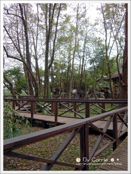 宜蘭羅東林業文化園區｜羅東林場，在市中心也可以做森林浴 @飛天璇的口袋