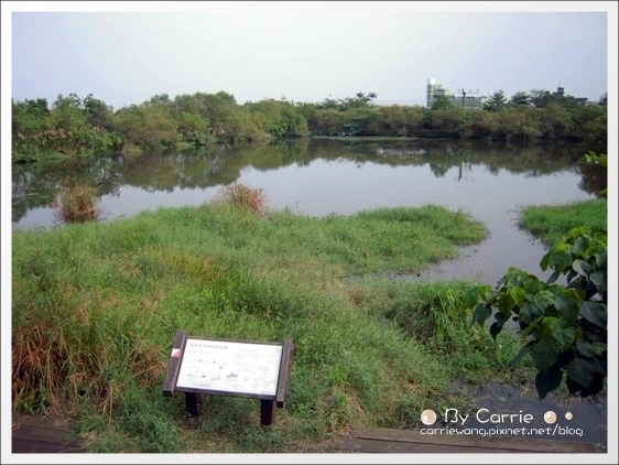 宜蘭羅東林業文化園區｜羅東林場，在市中心也可以做森林浴 @飛天璇的口袋