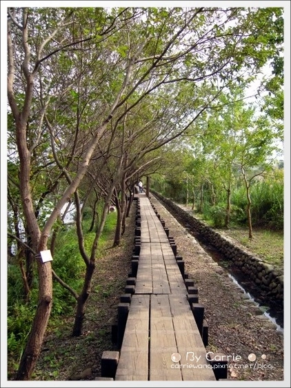 宜蘭羅東林業文化園區｜羅東林場，在市中心也可以做森林浴 @飛天璇的口袋