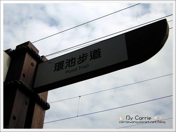 宜蘭羅東林業文化園區｜羅東林場，在市中心也可以做森林浴 @飛天璇的口袋