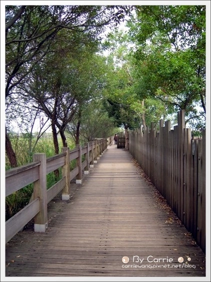 宜蘭羅東林業文化園區｜羅東林場，在市中心也可以做森林浴 @飛天璇的口袋