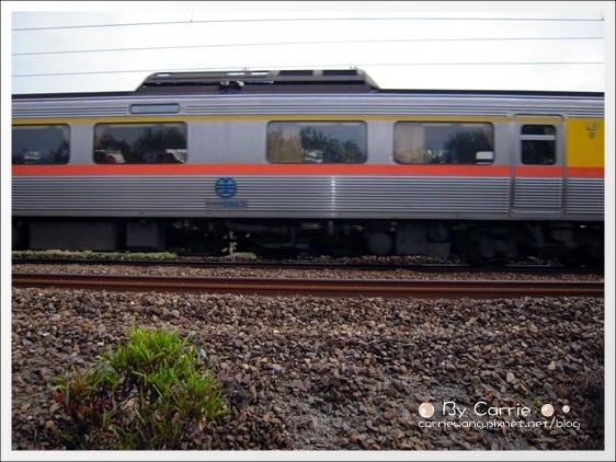 宜蘭羅東林業文化園區｜羅東林場，在市中心也可以做森林浴 @飛天璇的口袋