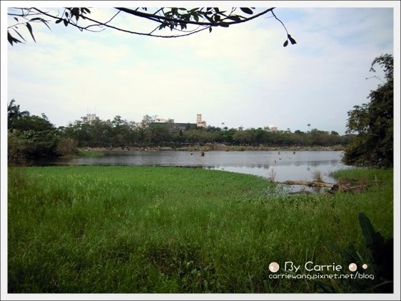 宜蘭羅東林業文化園區｜羅東林場，在市中心也可以做森林浴 @飛天璇的口袋