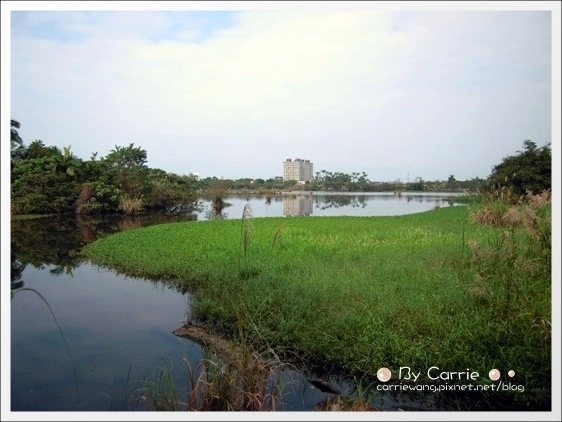 宜蘭羅東林業文化園區｜羅東林場，在市中心也可以做森林浴 @飛天璇的口袋