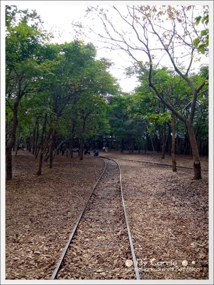 宜蘭羅東林業文化園區｜羅東林場，在市中心也可以做森林浴 @飛天璇的口袋