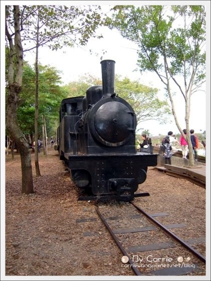 宜蘭羅東林業文化園區｜羅東林場，在市中心也可以做森林浴 @飛天璇的口袋