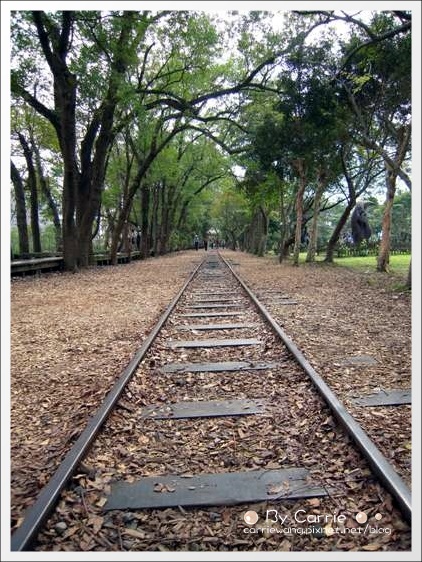 宜蘭羅東林業文化園區｜羅東林場，在市中心也可以做森林浴 @飛天璇的口袋