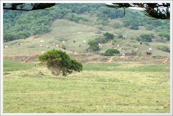 屏東恆春｜墾丁福容大飯店．占地五公頃渡假飯店，360度俯瞰船帆石海景 @飛天璇的口袋