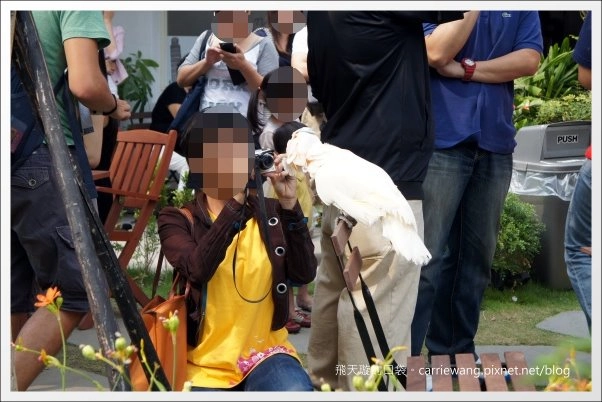 【台中美式餐廳】艾可先生漢堡餐廳 Echo Burger。10/20~10/28爵士音樂節期間點漢堡套餐送炸雞 @飛天璇的口袋