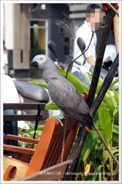 【台中美式餐廳】艾可先生漢堡餐廳 Echo Burger。10/20~10/28爵士音樂節期間點漢堡套餐送炸雞 @飛天璇的口袋