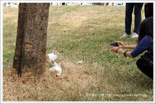 【台中美式餐廳】艾可先生漢堡餐廳 Echo Burger。10/20~10/28爵士音樂節期間點漢堡套餐送炸雞 @飛天璇的口袋