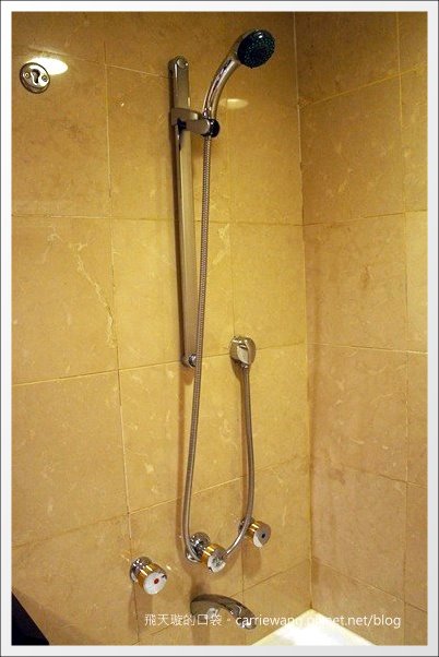 【高雄飯店住宿】國賓大飯店+早餐buffet。同場加映：愛河愛之船夜遊無敵美景 @飛天璇的口袋