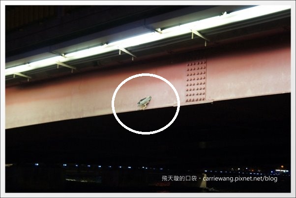 【高雄飯店住宿】國賓大飯店+早餐buffet。同場加映：愛河愛之船夜遊無敵美景 @飛天璇的口袋