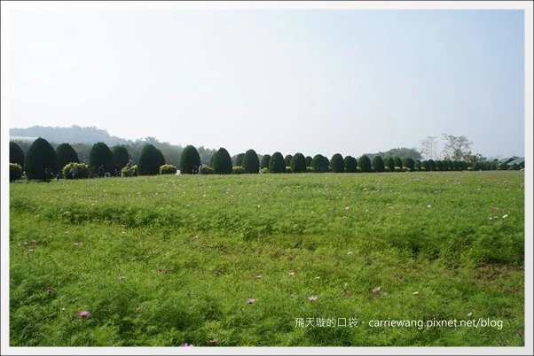 【台南旅遊景點】2013台南冬季熱氣球嘉年華。來去走馬瀨農場！！ @飛天璇的口袋