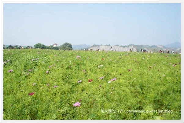 【台南旅遊景點】2013台南冬季熱氣球嘉年華。來去走馬瀨農場！！ @飛天璇的口袋