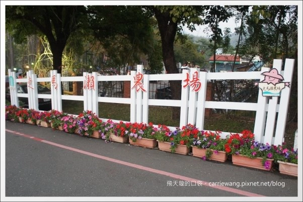 【台南旅遊景點】2013台南冬季熱氣球嘉年華。來去走馬瀨農場！！ @飛天璇的口袋