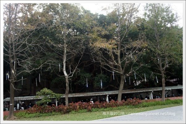 【中壢中原夜市】必吃小吃美食推薦。包甲好蔥燒包+皇后先生+御冠園鮮肉湯包+中原第一家麻辣豆腐+申園爆漿紅豆餅+高記老牌紅心粉圓+家鄉碳烤雞排 @飛天璇的口袋