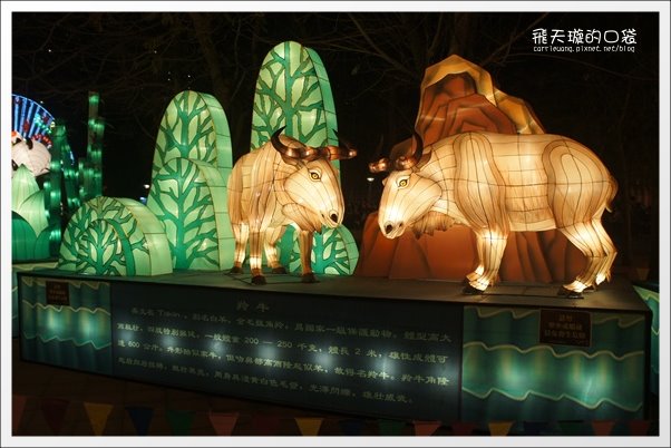 【2013台中燈會】靈蛇護珠。台中文心森林公園 @飛天璇的口袋