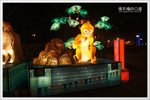 【2013台中燈會】靈蛇護珠。台中文心森林公園 @飛天璇的口袋