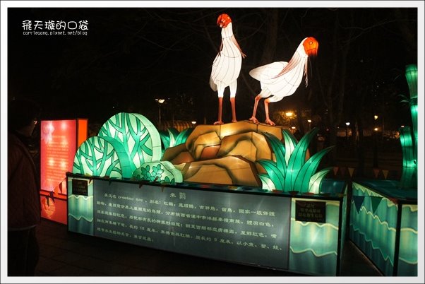 【2013台中燈會】靈蛇護珠。台中文心森林公園 @飛天璇的口袋