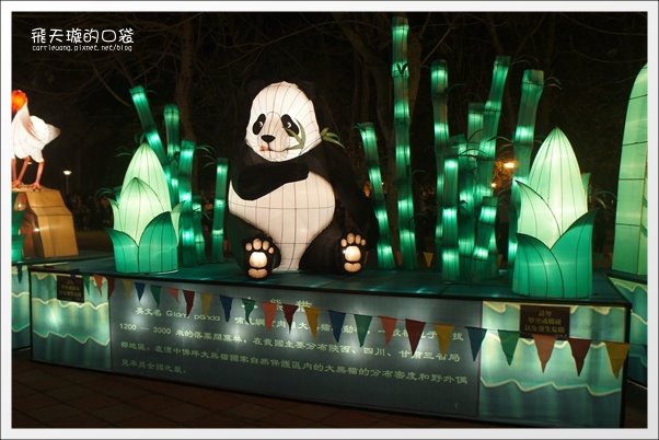 【2013台中燈會】靈蛇護珠。台中文心森林公園 @飛天璇的口袋