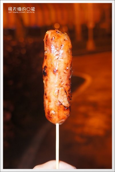 【2013台中燈會】靈蛇護珠。台中文心森林公園 @飛天璇的口袋